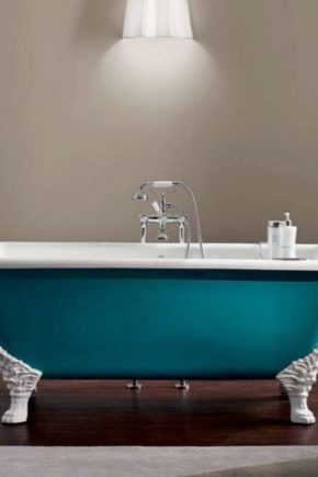  Lo que es mejor elegir un baño de hierro fundido: una descripción general de los modelos populares