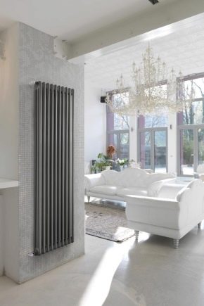  ROSTERM radiators: features and specifications