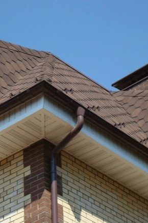  Soffits za podnošenje krova: suptilnosti krovova
