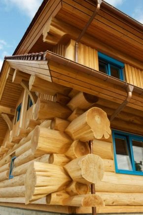  Casa di tronchi di cedro: vantaggi e svantaggi