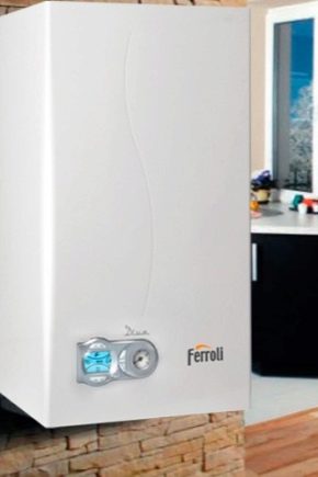  Variedades de calderas de gas Ferroli y recomendaciones para su funcionamiento.