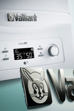  Characteristics and features of use of Vaillant geysers