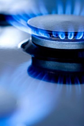  Gas burners for the boiler: types, selection, device and cleaning