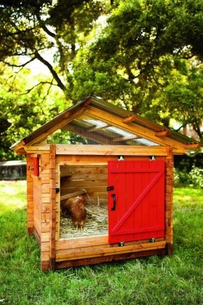  How to build a chicken coop for 10 chickens?