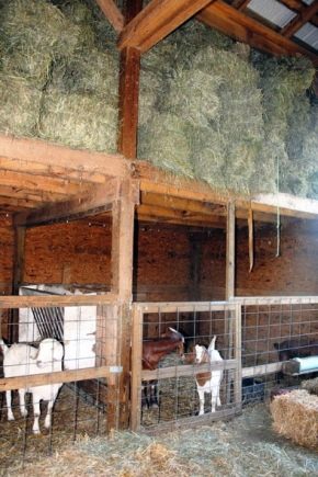  How to build a goat shed?