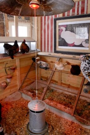  How to make ventilation in the hen house with your own hands?