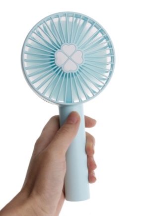  Mini fan: valg og variationer