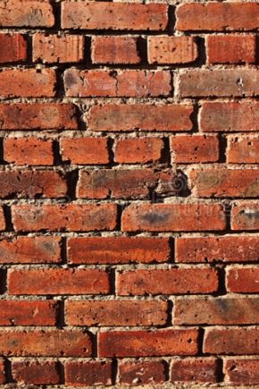  Red bricks: description and variations