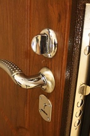  Tips for selecting accessories for entrance doors