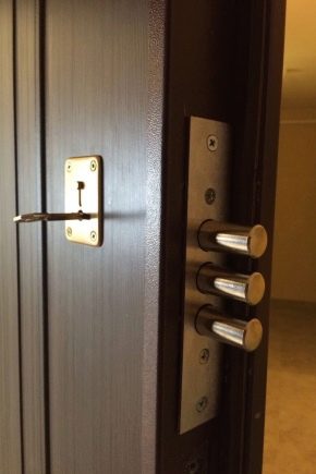  Dibluri pentru ușile din oțel: dispozitivul, tipurile și instalarea