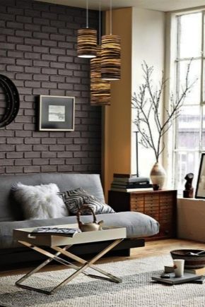  Features and varieties of decorative bricks