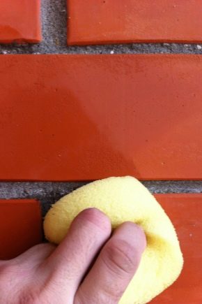  Subtleties of the process of cleaning bricks