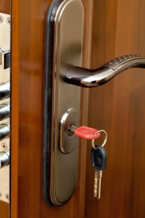  Serratura da infilare per la porta: caratteristiche di scelta e installazione