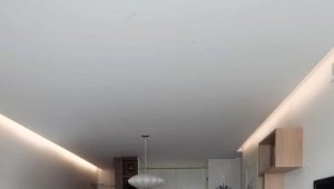  Opcions i característiques de l'apartament d'una sola habitació