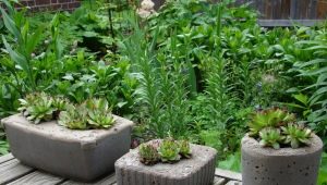  Making your own pot of concrete: the perfect setting for outdoor colors