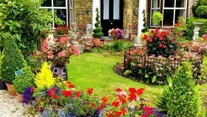 How to make a beautiful flower garden on a private plot of land?