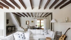  Decoratieve balken aan het plafond: hoe te gebruiken in het interieur
