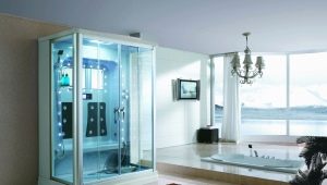  Duschen mit einem Dampfgenerator: Typen und Merkmale des Geräts