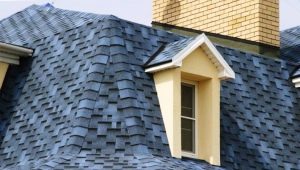  Shingles: the pros and cons of the material