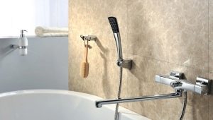  How to choose a faucet with long spout and shower for a bath