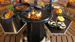  How to choose a grill on the wood?