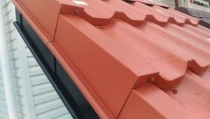  Eaves trims for metal tiles: types and features of installation