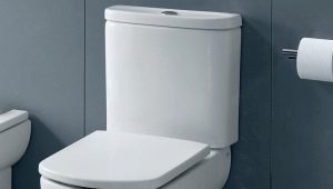  Обвивката на тоалетна чиния Roca: избор от широк диапазон