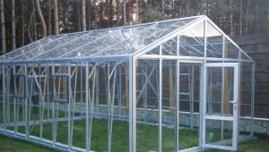  Mga tampok ng mga glass greenhouses