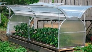  Butterfly greenhouse: design features of manufacturing