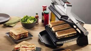  Grilled sandwich maker: types and instructions for use