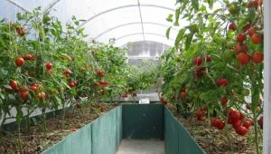  Mainit na kama sa greenhouse: hakbang-hakbang na produksyon