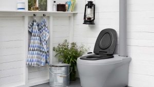  Тоалетни за тоалетни за къщи: характеристики и предимства