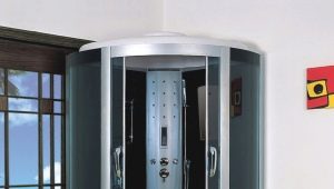  Box doccia angolari con vassoio: caratteristiche di scelta