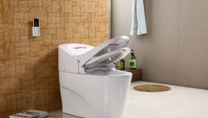  Интелигентни тоалетни: интелигентен водопровод за комфорт