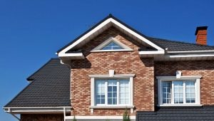  Caramida pentru fațadă: caracteristicile materialului și subtilitatea instalării