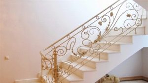  सीढ़ियों के लिए सुंदर लोहा रेलिंग: परियोजना से स्थापना के लिए