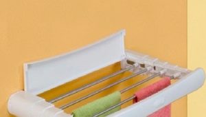  Wall-mount laundry dryers: isang pangkalahatang-ideya ng mga modernong modelo
