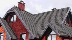  Features of the choice of shinglas shingles