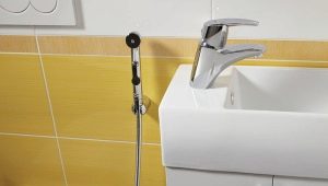  Règles de choix d'un arrosoir pour une douche hygiénique: types de structures et leurs caractéristiques