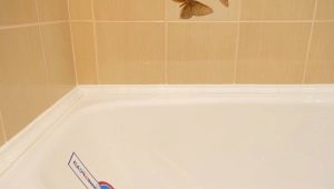  Banyoda bir karo için köşeler: seçim için ipuçları ve ipuçları