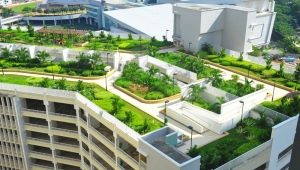  녹색 지붕 : 잔디 루핑 기술