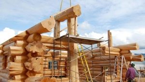  Houses from a log: how to build a high-quality and warm dwelling?