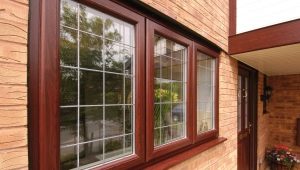  Brown plastic windows: a stylish solution for the apartment and house
