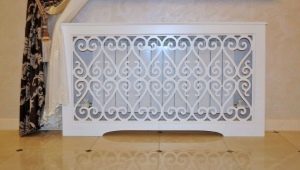  The grille: what could be the screen on the radiator and how to install it correctly?