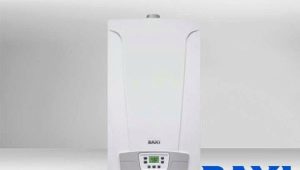  Baxi gas bypass boilers: device, assortment overview and troubleshooting