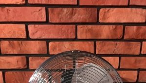  Floor fans: features of choice and subtlety of operation