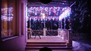  Advantages, disadvantages and methods of using electric garlands
