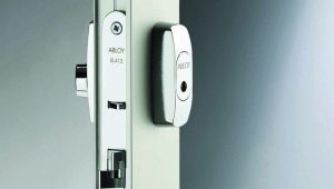  Chiusure elettromeccaniche sulla porta: caratteristiche e dispositivo