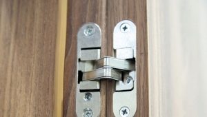  Scharnieren voor binnendeuren: tips voor het kiezen en installeren