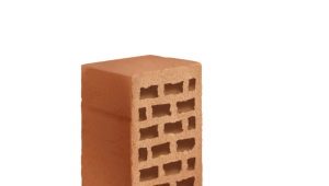  Brick Density: Mga Alituntunin at Mga Tip para sa Pagtatakda